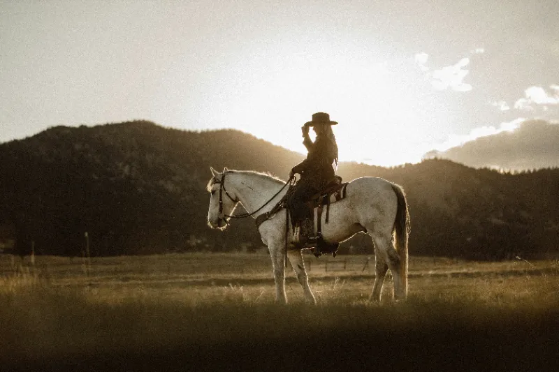 A cowboy sits atop a horse with mountains in the distance